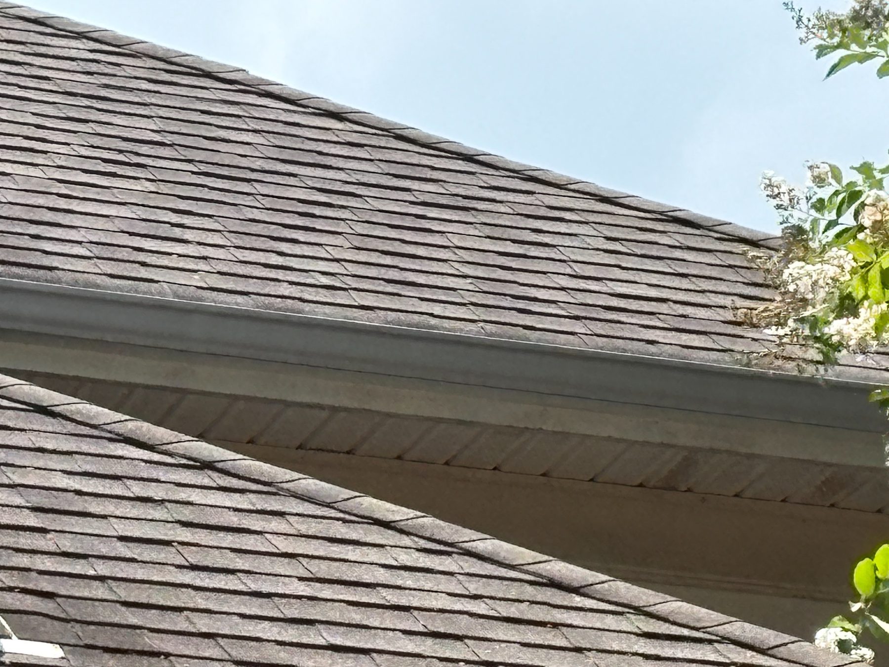 Roof edge and gutter