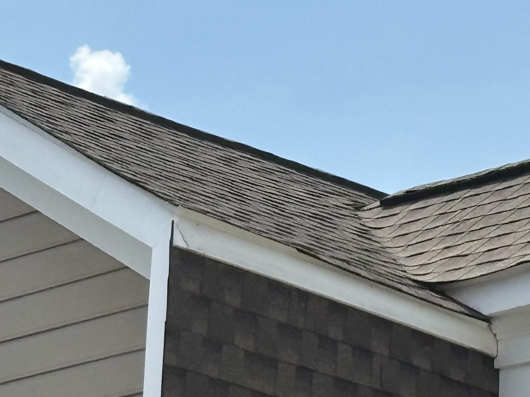 Roof edge and gutter detail